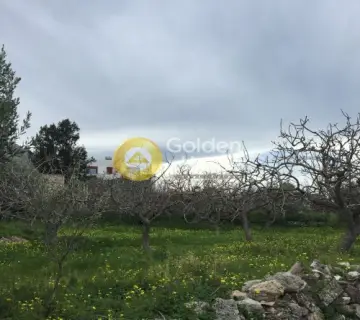 Οικιστικό 800τ.μ. προς πώληση φωτογραφία 2