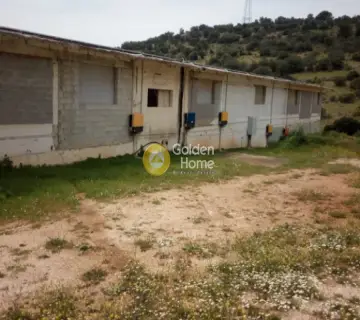 Αποθήκη 5500τ.μ. προς ενοικίαση φωτογραφία 3