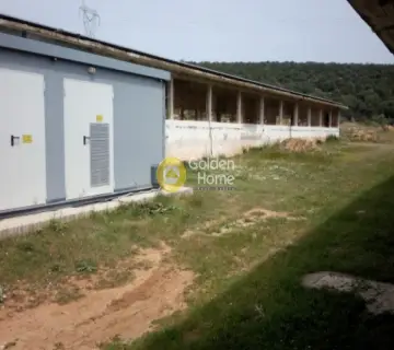 Αποθήκη 5500τ.μ. προς ενοικίαση φωτογραφία 7