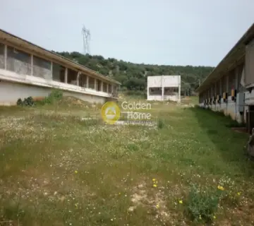 Αποθήκη 5500τ.μ. προς ενοικίαση φωτογραφία 9