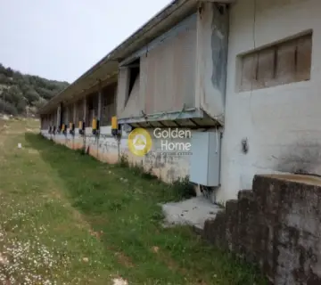 Αποθήκη 5500τ.μ. προς ενοικίαση φωτογραφία 10