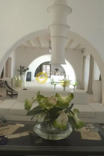 Villa 700m<sup>2</sup> for rent photo 7