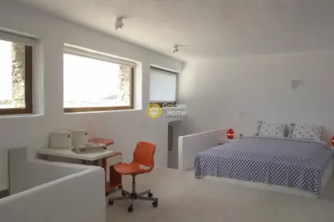 Villa 700m<sup>2</sup> for rent photo 11