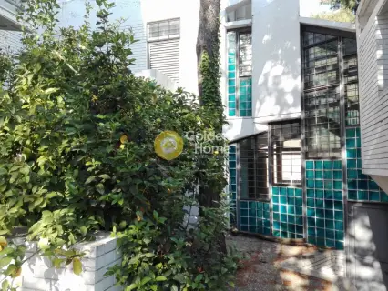 House 450m<sup>2</sup> for sale photo 4