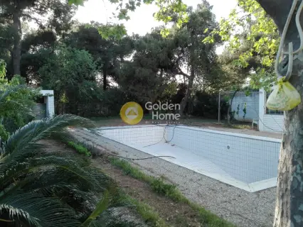 House 450m<sup>2</sup> for sale photo 23