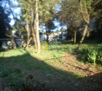 Residential 1700m<sup>2</sup> for sale photo 2