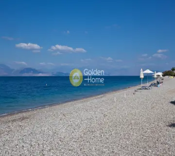 Μεζονέτα Ανεξάρτητη 303τ.μ. προς πώληση φωτογραφία 1