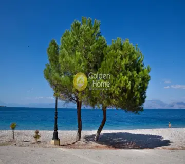 Μεζονέτα Ανεξάρτητη 303τ.μ. προς πώληση φωτογραφία 2