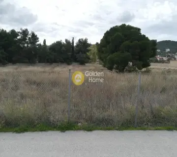 Οικιστικό 8700τ.μ. προς πώληση φωτογραφία 1
