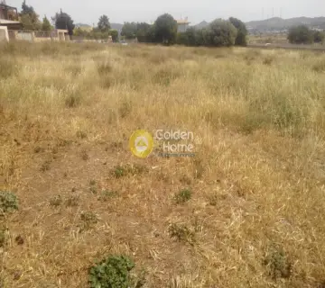 Οικιστικό 8700τ.μ. προς πώληση φωτογραφία 4