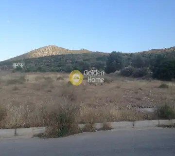 Επαγγελ. Οικόπεδο 4350τ.μ. προς πώληση φωτογραφία 2