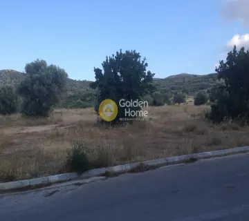 Επαγγελ. Οικόπεδο 4350τ.μ. προς πώληση φωτογραφία 4
