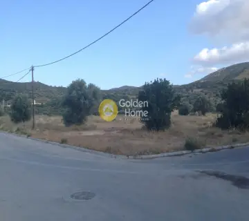 Επαγγελ. Οικόπεδο 4350τ.μ. προς πώληση φωτογραφία 5