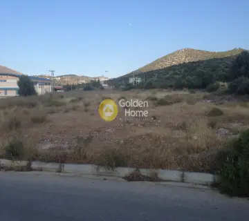 Επαγγελ. Οικόπεδο 4350τ.μ. προς πώληση φωτογραφία 6