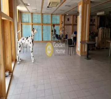 Αυτόνομο Κτίριο 2900τ.μ. προς πώληση φωτογραφία 26