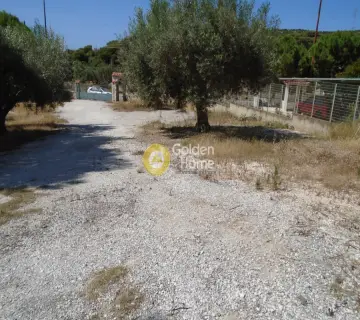 Οικιστικό 1300τ.μ. προς ενοικίαση φωτογραφία 2