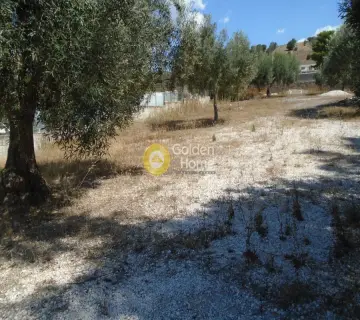 Οικιστικό 1300τ.μ. προς ενοικίαση φωτογραφία 3