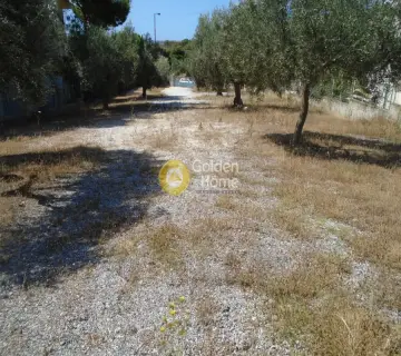 Οικιστικό 1300τ.μ. προς ενοικίαση φωτογραφία 4