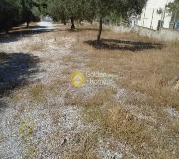 Οικιστικό 1300τ.μ. προς ενοικίαση φωτογραφία 5