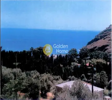 Οικιστικό 10250τ.μ. προς πώληση φωτογραφία 2