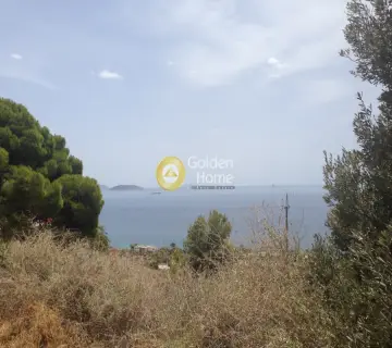 Αγροτεμάχιο 4080τ.μ. προς πώληση φωτογραφία 5