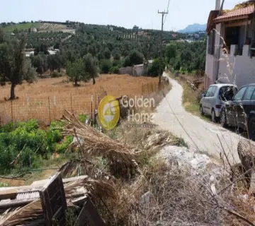 Golden Home Property Image