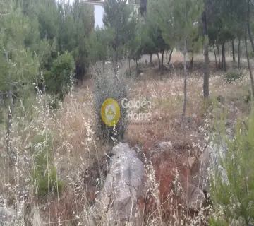 Οικιστικό 800τ.μ. προς πώληση φωτογραφία 1