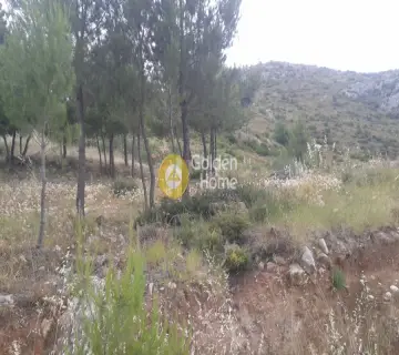 Οικιστικό 800τ.μ. προς πώληση φωτογραφία 2