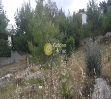 Οικιστικό 800τ.μ. προς πώληση φωτογραφία 3