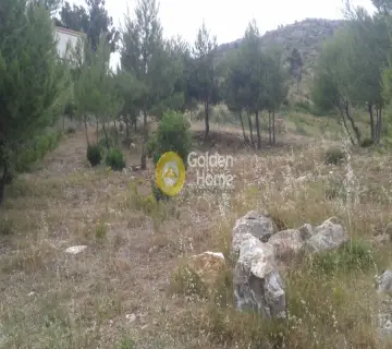 Οικιστικό 800τ.μ. προς πώληση φωτογραφία 5
