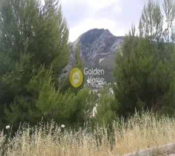 Οικιστικό 800τ.μ. προς πώληση φωτογραφία 7