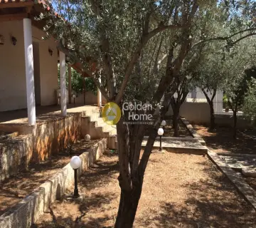 Μονοκατοικία 120τ.μ. προς πώληση φωτογραφία 4