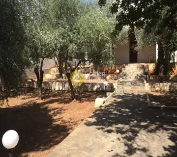 Μονοκατοικία 120τ.μ. προς πώληση φωτογραφία 6
