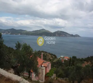 Οικιστικό 13000τ.μ. προς πώληση φωτογραφία 1
