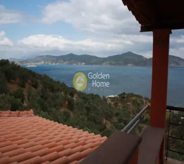 Οικιστικό 13000τ.μ. προς πώληση φωτογραφία 2