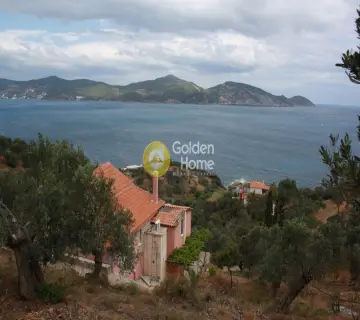 Οικιστικό 13000τ.μ. προς πώληση φωτογραφία 3
