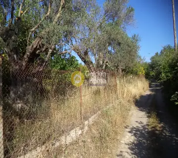 Residential 1800m<sup>2</sup> for sale photo 2