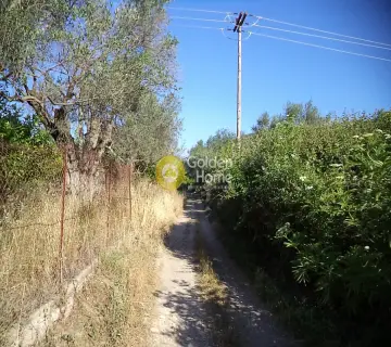 Residential 1800m<sup>2</sup> for sale photo 3
