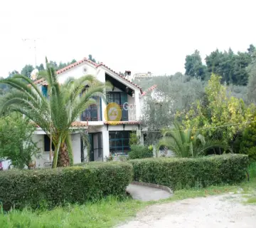 House 135m<sup>2</sup> for sale photo 4