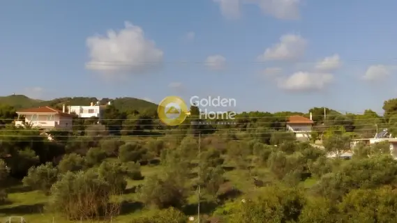 Μονοκατοικία 415τ.μ. προς πώληση φωτογραφία 29