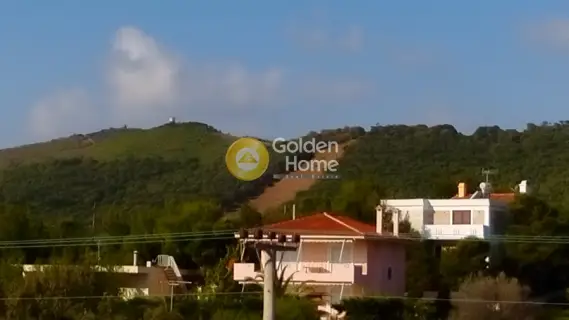 Μονοκατοικία 415τ.μ. προς πώληση φωτογραφία 35