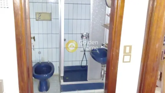 Μονοκατοικία 415τ.μ. προς πώληση φωτογραφία 41
