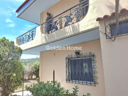 House 250m<sup>2</sup> for rent photo 32