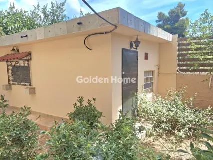 House 250m<sup>2</sup> for rent photo 34