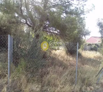 Residential 242m<sup>2</sup> for sale photo 2