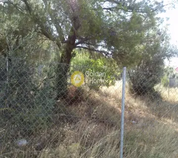 Residential 242m<sup>2</sup> for sale photo 7