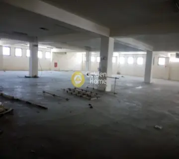 Αυτόνομο Κτίριο 6800τ.μ. προς πώληση φωτογραφία 21