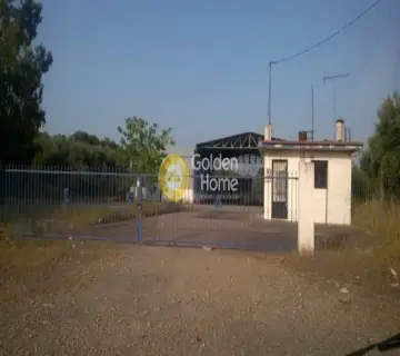 仓库 7000m<sup>2</sup> for rent photo 1