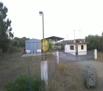 仓库 7000m<sup>2</sup> for rent photo 2