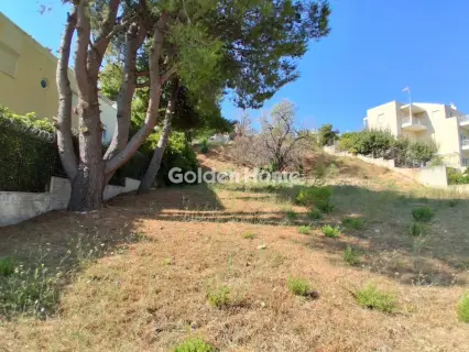 Οικιστικό 1180τ.μ. προς πώληση φωτογραφία 5596048